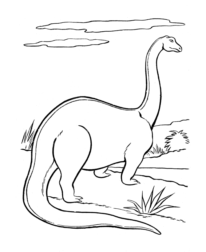 670x820 Apatosaurus Coloring Pages Dinosaurs Pictures And Facts
