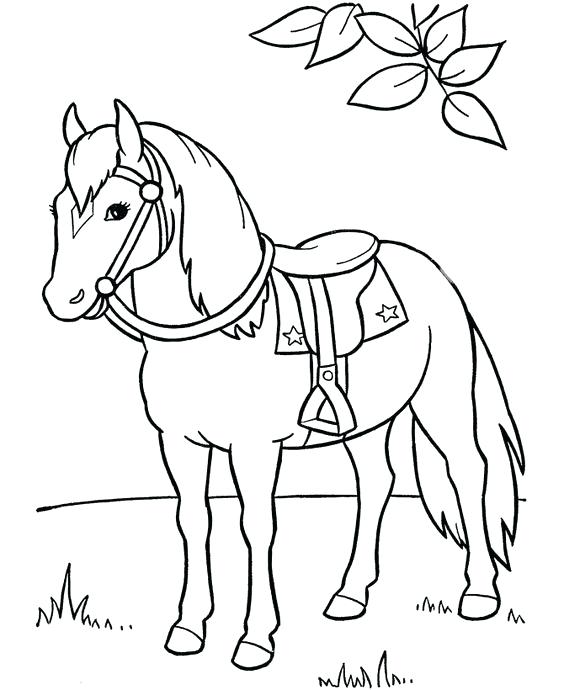 564x690 Elegant Printable Horse Coloring Pages For Appaloosa Horse