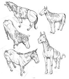 235x268 Horse Drawing Done In Procreate On The Ipad Pro With Apple Pencil