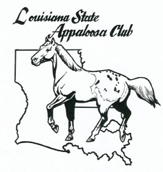 236x250 Louisiana Appaloosa Horse Club