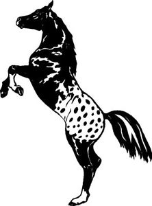 222x300 Rearing Appaloosa Horse Sticker Decal Graphic Large Ebay