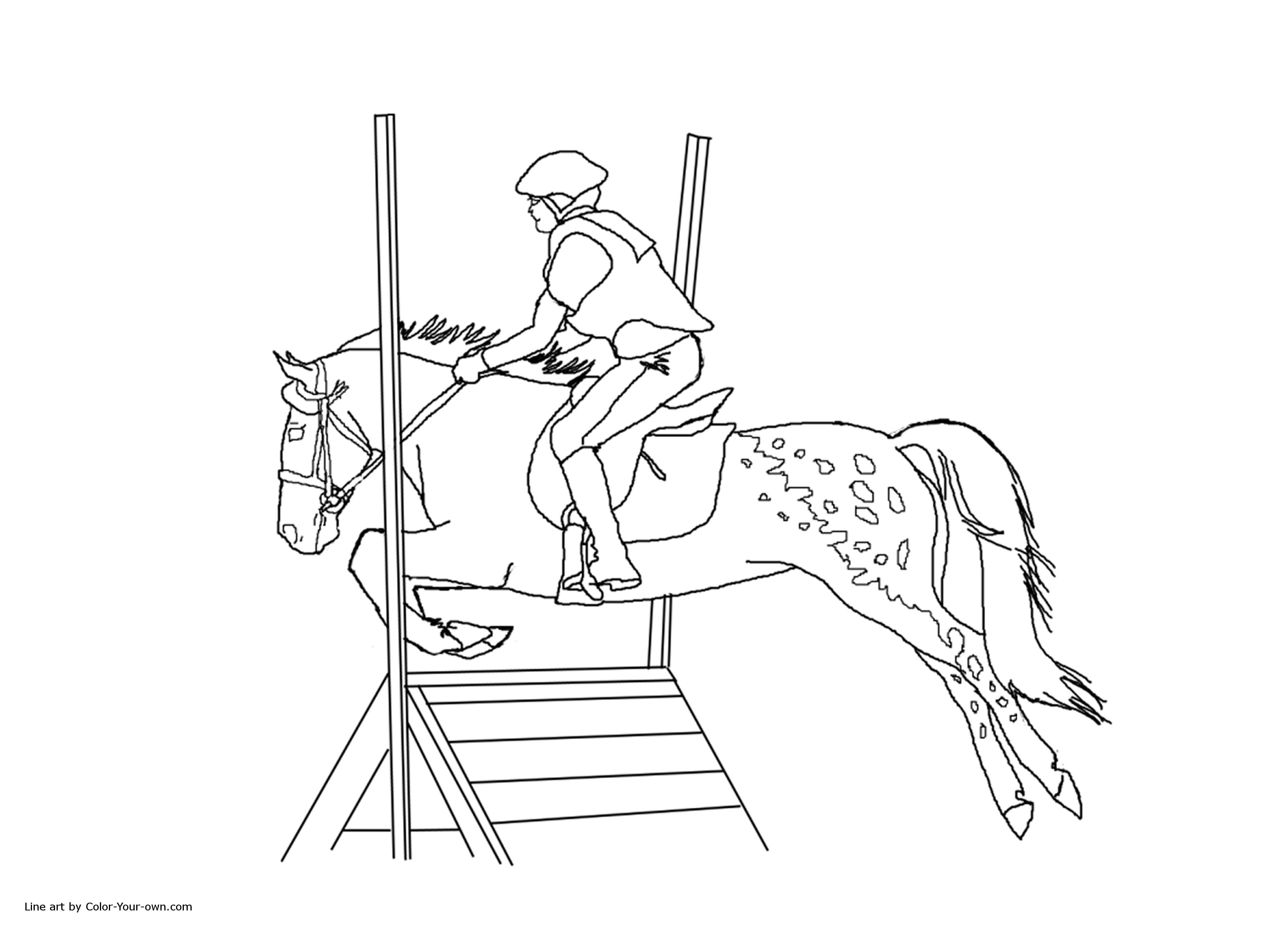 3300x2400 Appaloosa Cross Jumping Pony Coloring Page