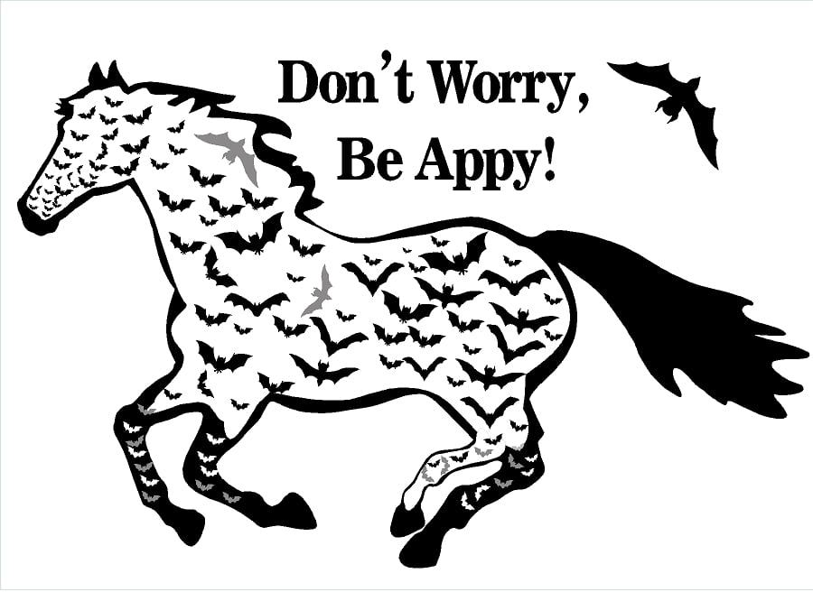 900x656 Appaloosa Horse Decal For Leopard