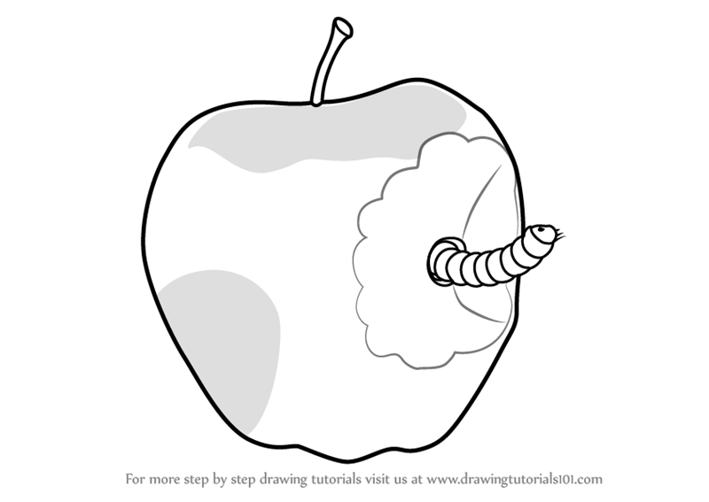 800x567 Learn How To Draw An Apple With Worm (Fruits For Kids) Step By