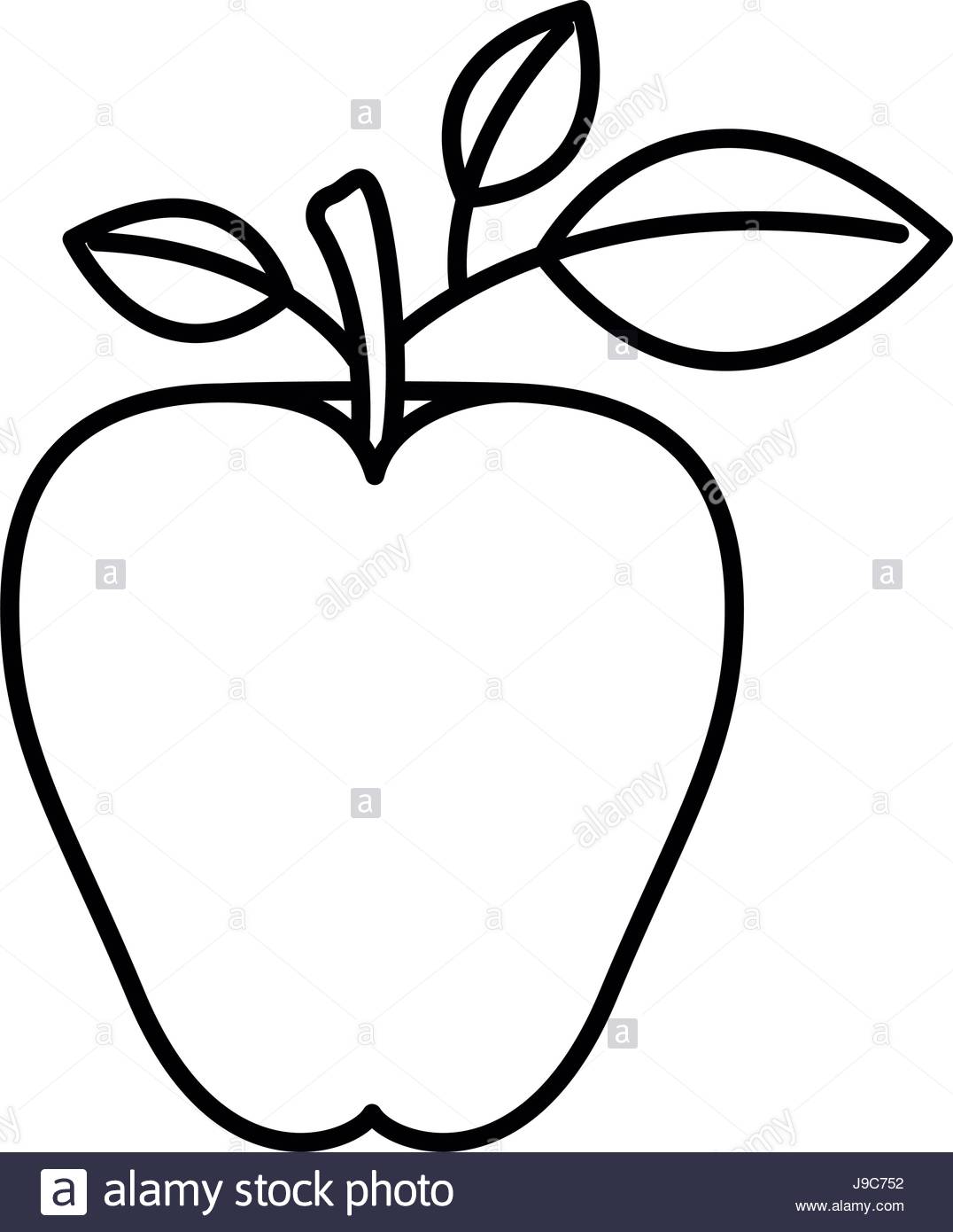 1076x1390 Sketch Silhouette Image Apple Fruit With Stem And Leaves Stock