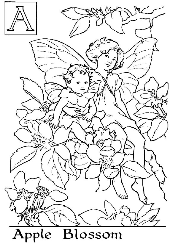 600x830 Letter A For Apple Blossom Flower Fairy Coloring Page Dringrames