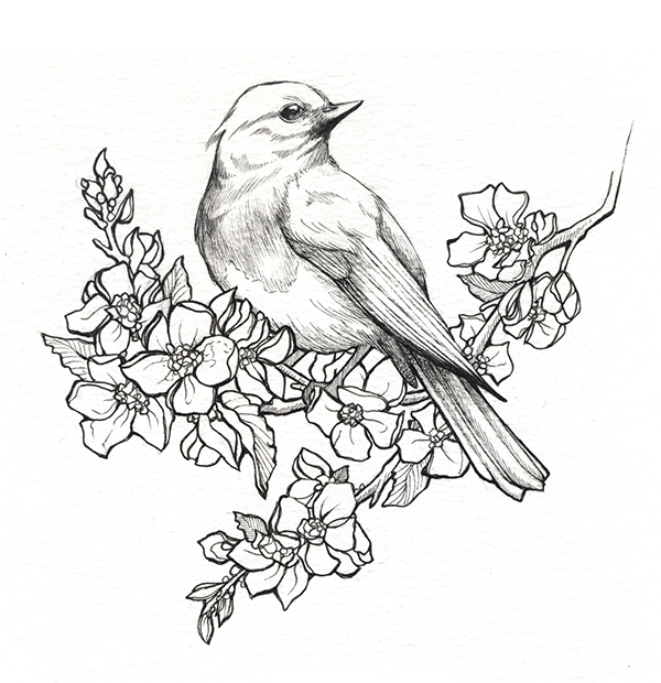 600x620 State Birds Amp Flowers On Behance Sister Tattoos