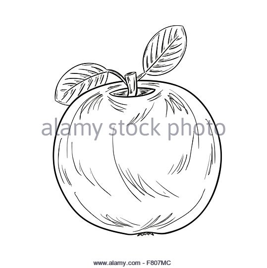 539x540 Cartoon Apple Half Stock Photos Amp Cartoon Apple Half Stock Images