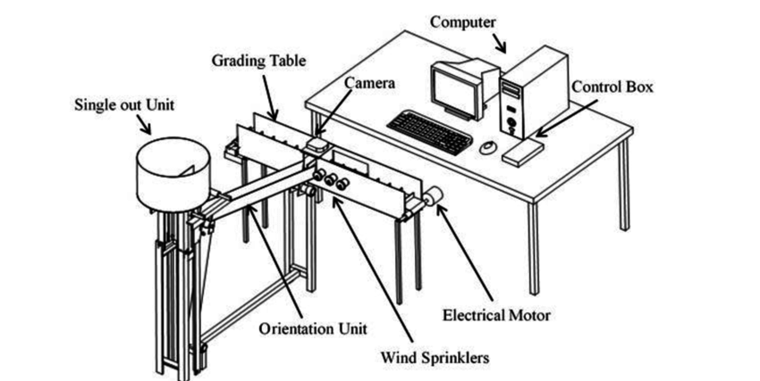 850x427 Of Designed Apple Grading System