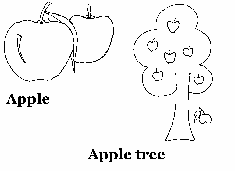771x561 Drawing Printable Worksheets Apple Printable Coloring Worksheet
