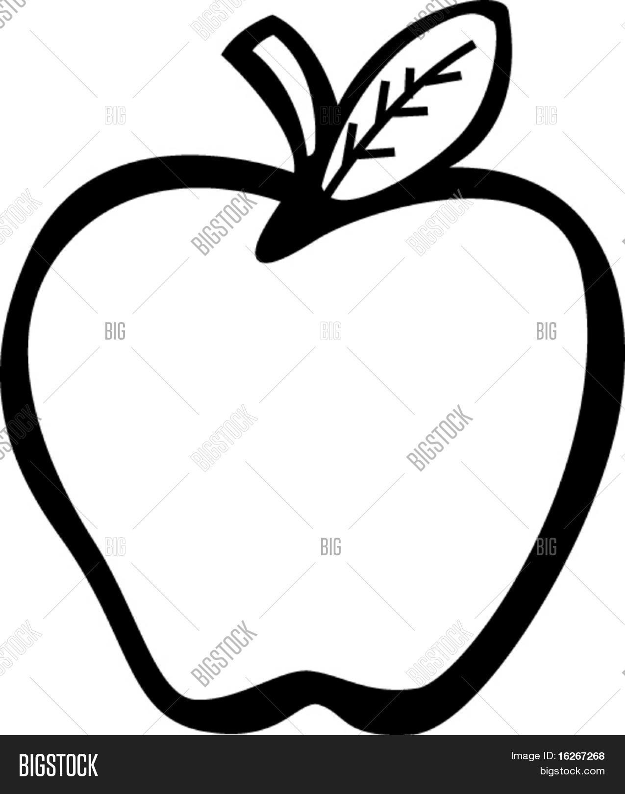 1275x1620 Drawn Fruit Apple