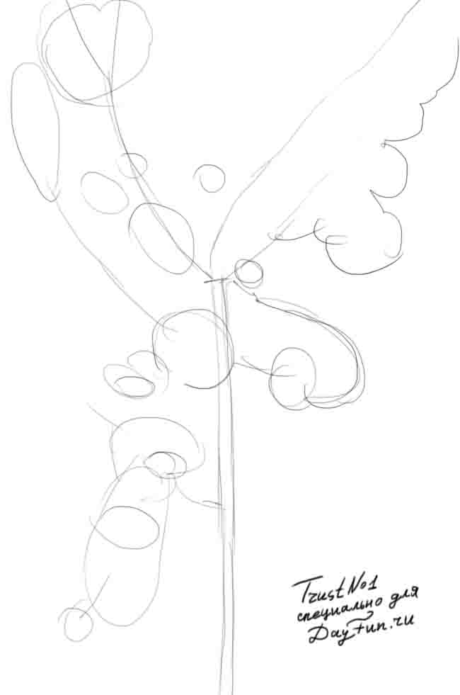 650x981 How To Draw An Apple Tree Step By Step