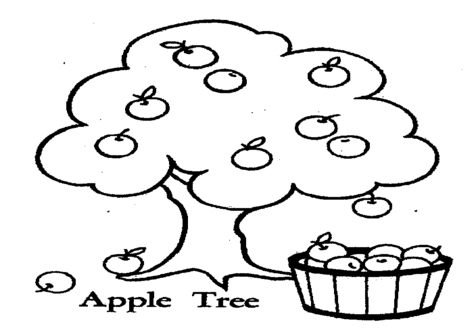 476x333 Apple Tree Coloring Sheet Pages Pattern For Kids
