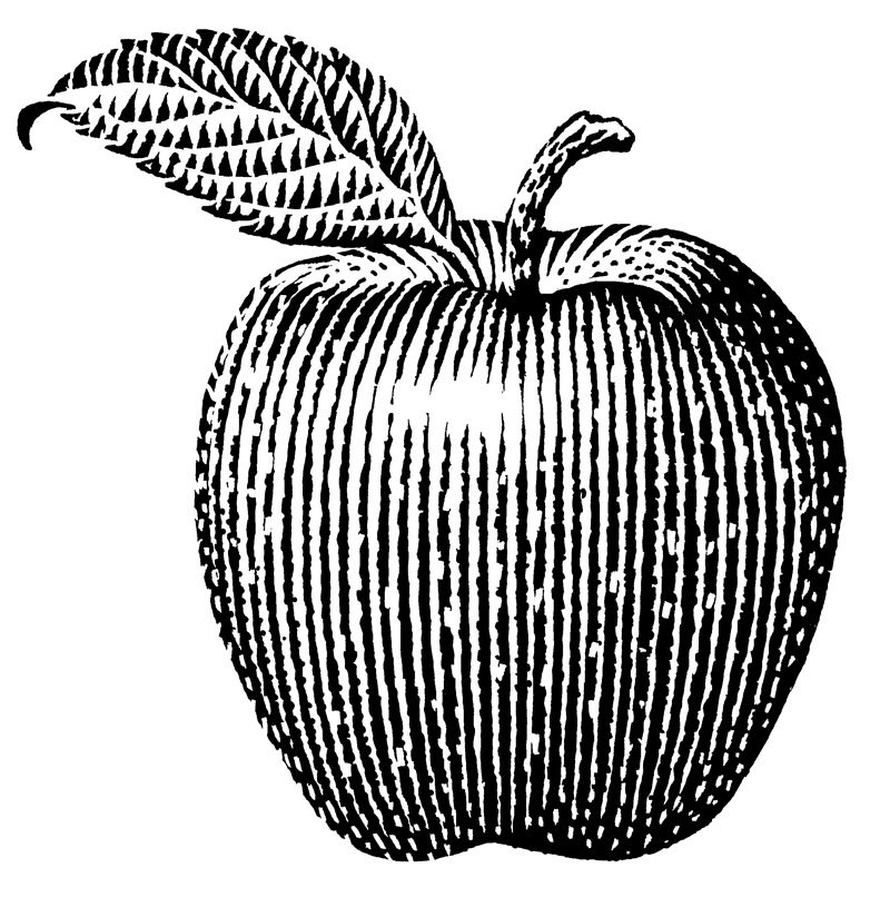 800x806 Red Delicious Apple