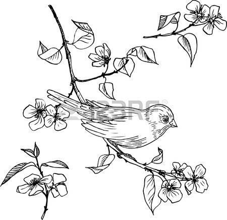 450x436 Apple Pencil Drawing Stock Photos. Royalty Free Business Images