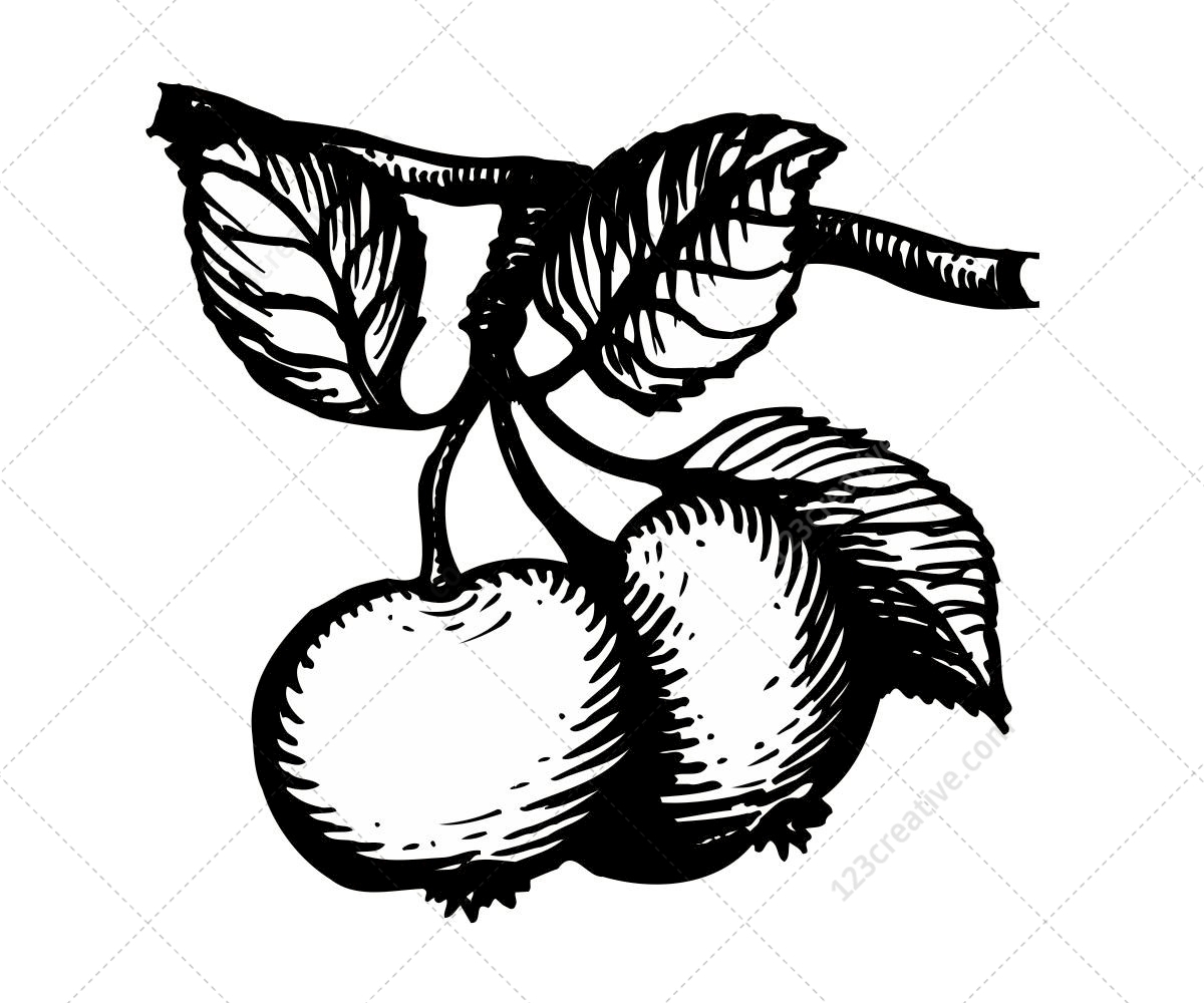 1200x1000 Sketch Fruit Vector Pack