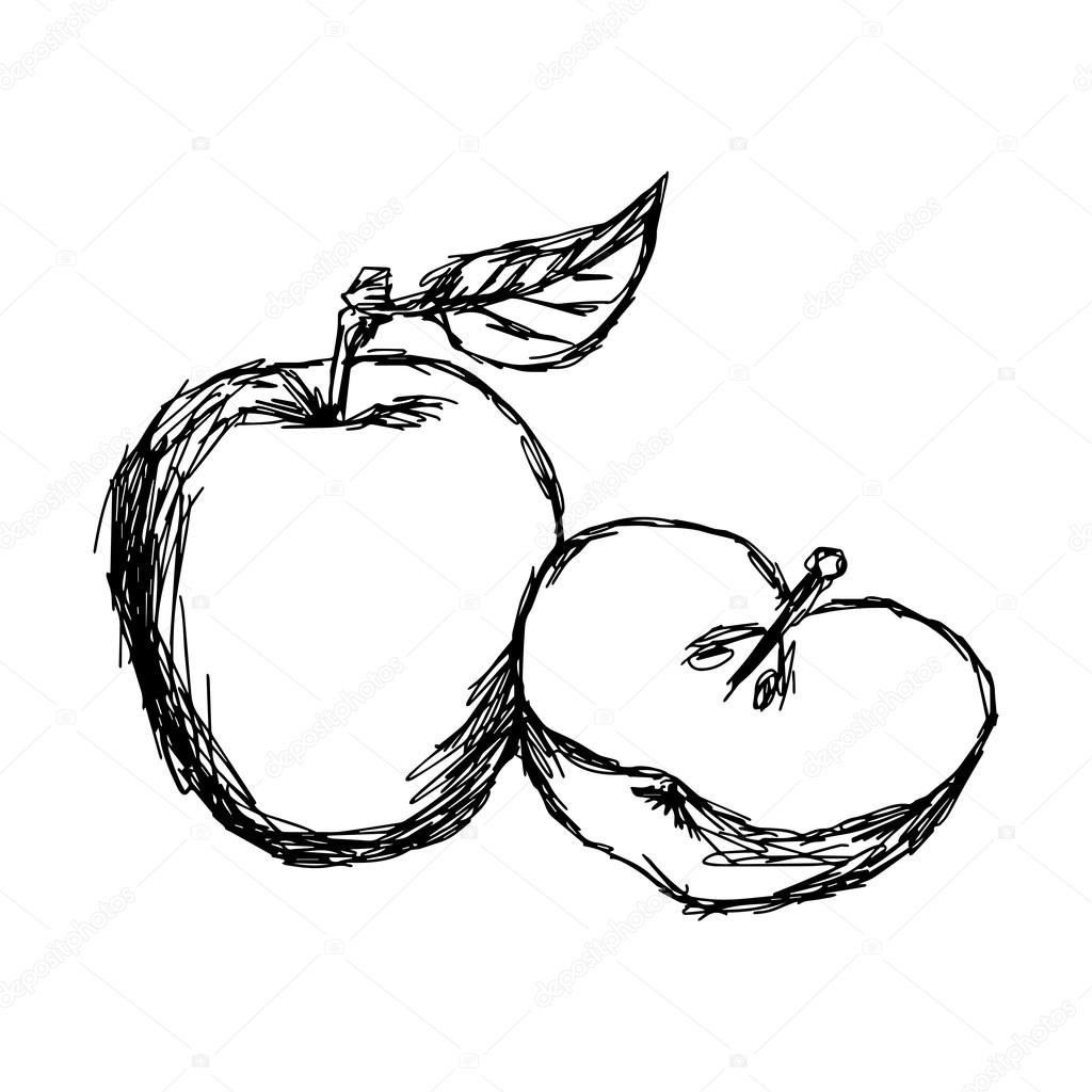 1024x1024 Sketch Apple Stock Vector Telesh