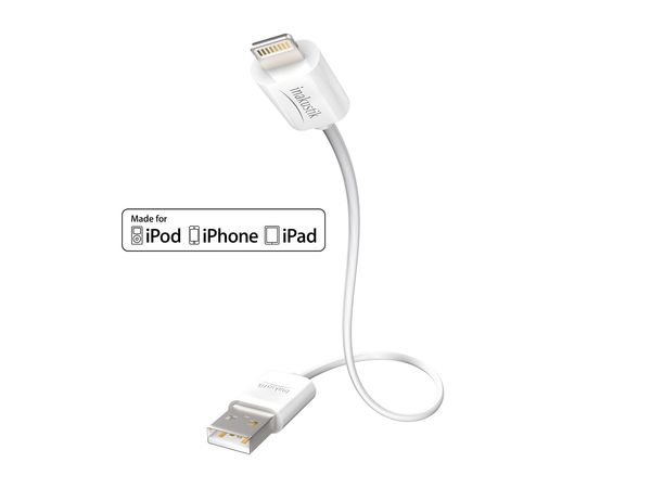 600x450 Premium Iplug Cablepple Lightning Gt Usb