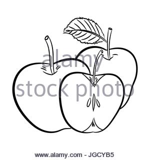 300x320 Hand Drawn Sketch Of Apples Isolated, Black And White Cartoon