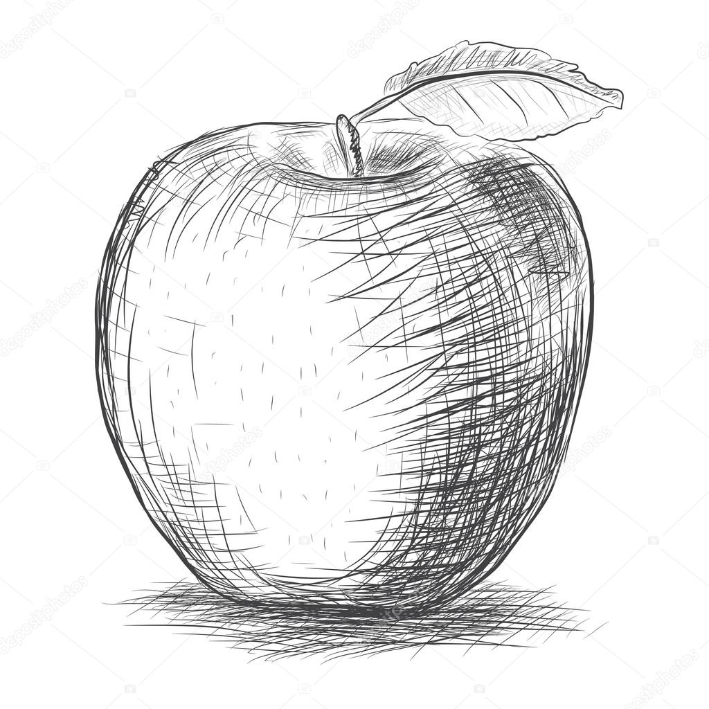 1024x1024 Sketch Apple Stock Vector Telesh