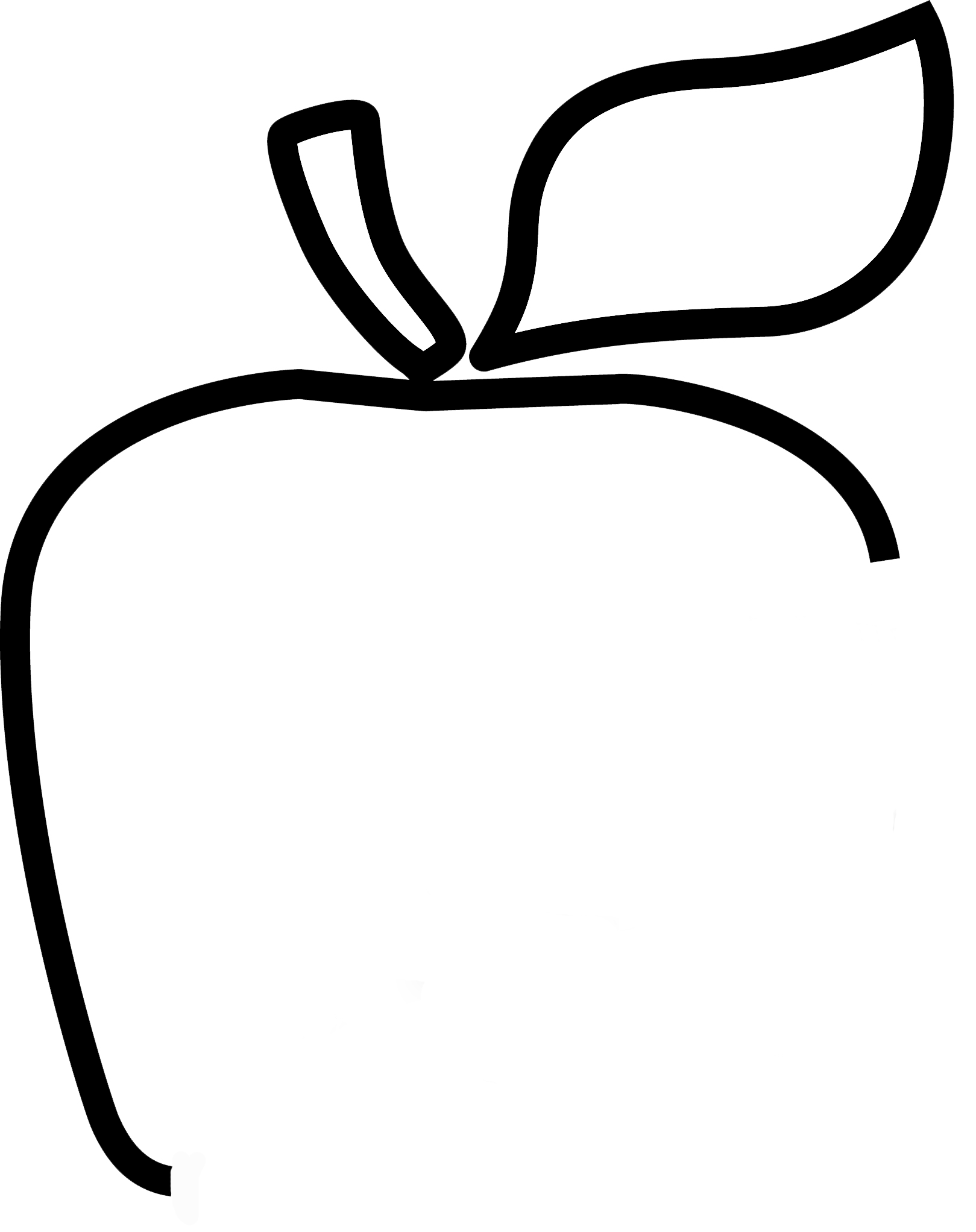 1619x2043 Innovatehsd