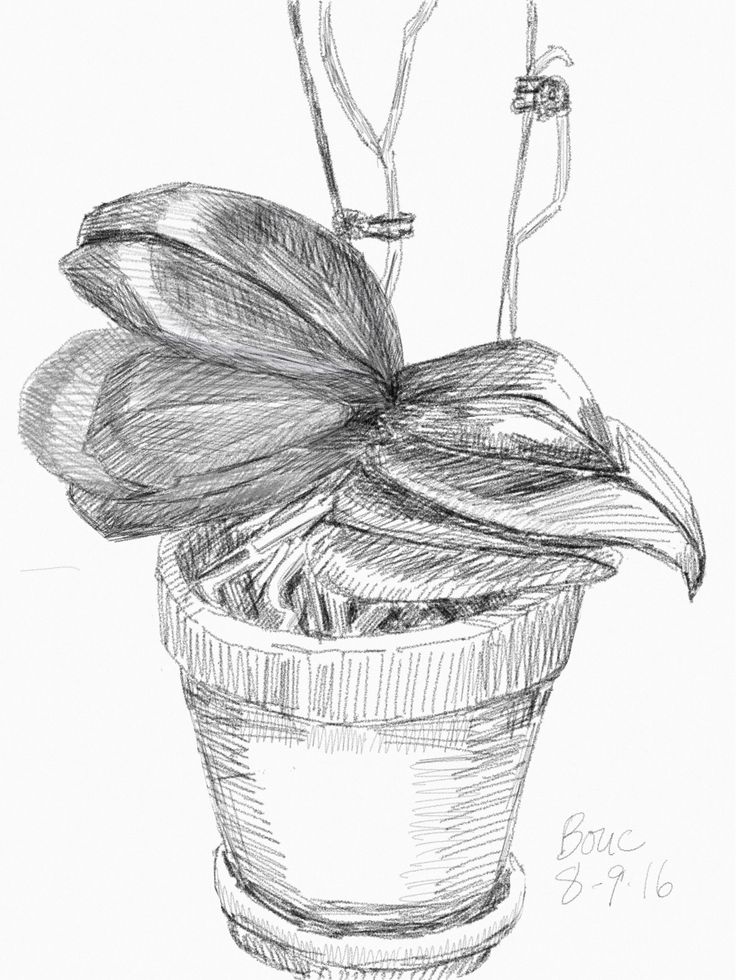 736x980 56 Best Daily Sketches Images On Sketching, Sketches