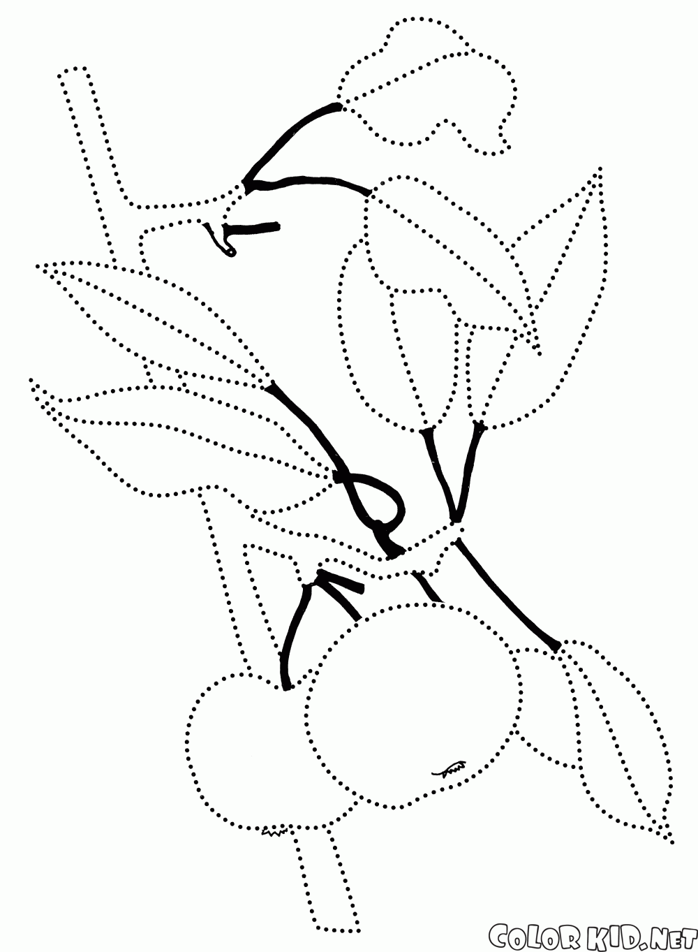 1000x1363 Coloring Page