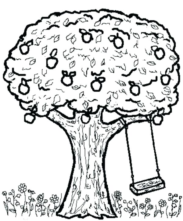 600x726 Coloring Picture Of An Apple Drawing Apple Basket Coloring Pages