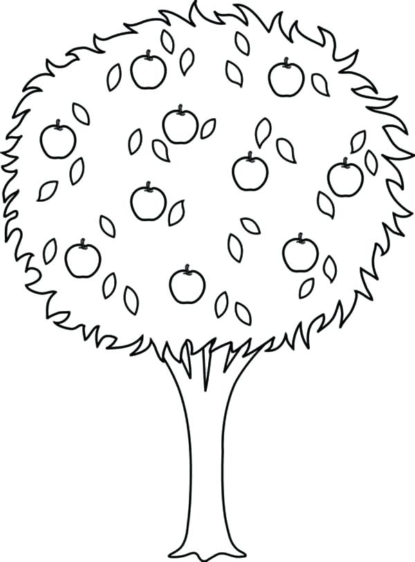 600x813 Coloring Pages Tree Omnitutor.co