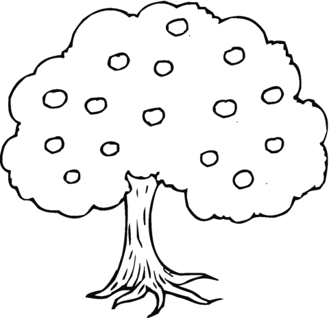 480x463 Apple Tree Coloring Page Free Printable Coloring Pages