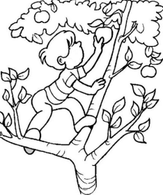 234x280 Apple Tree Stories For Muslim Kids