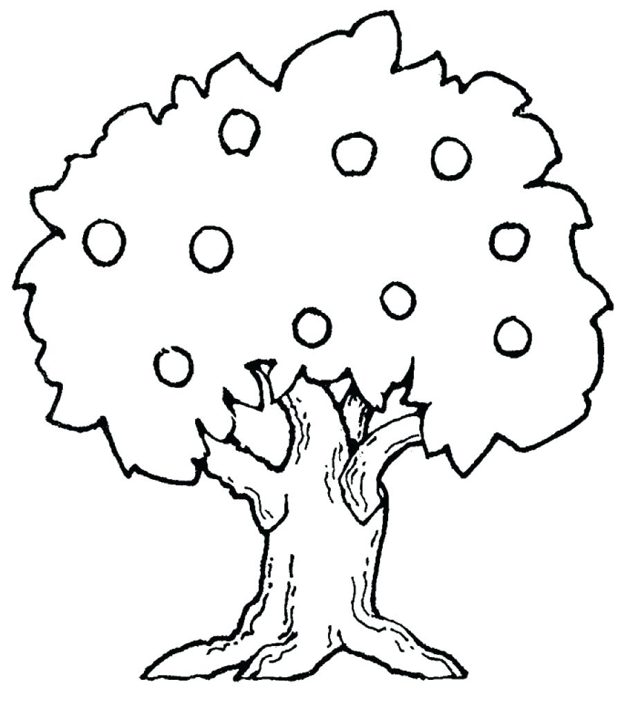 Apple Tree Line Drawing at GetDrawings | Free download