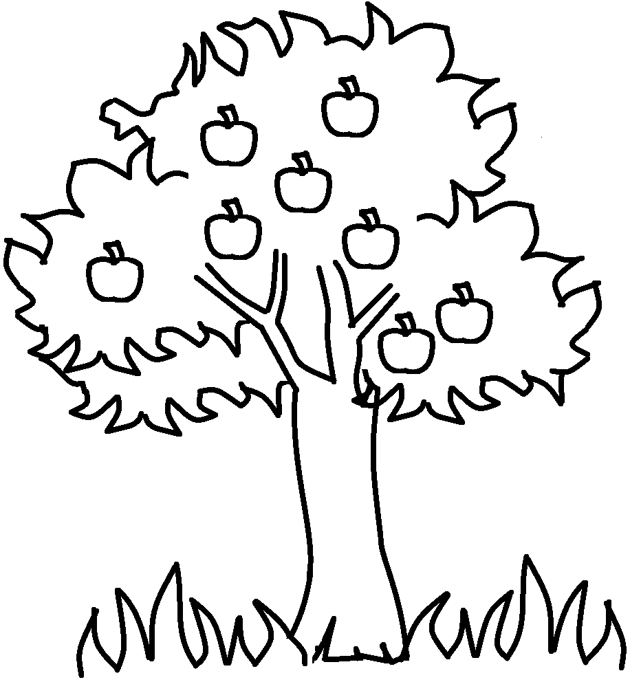 916x1008 Apple Tree Coloring Page For The Kids Apples