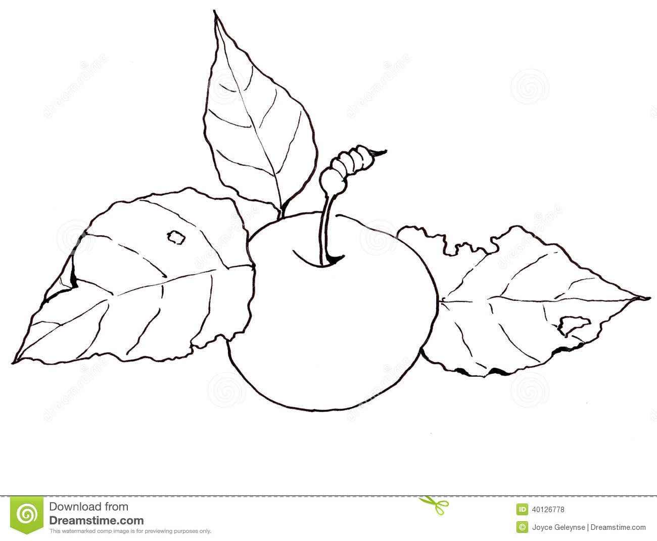 1300x1070 Drawn Apple Apple Leaf