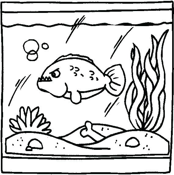 569x570 Fish Tank Coloring Page Aquarium Coloring Pages Coloring Pages
