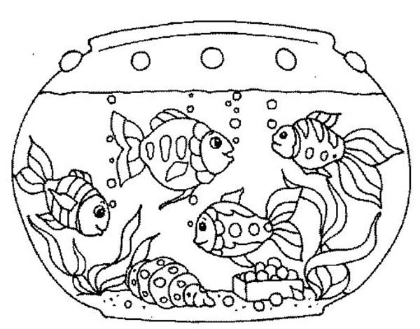 600x470 Fish Tank Images For Drawing Allofpicts
