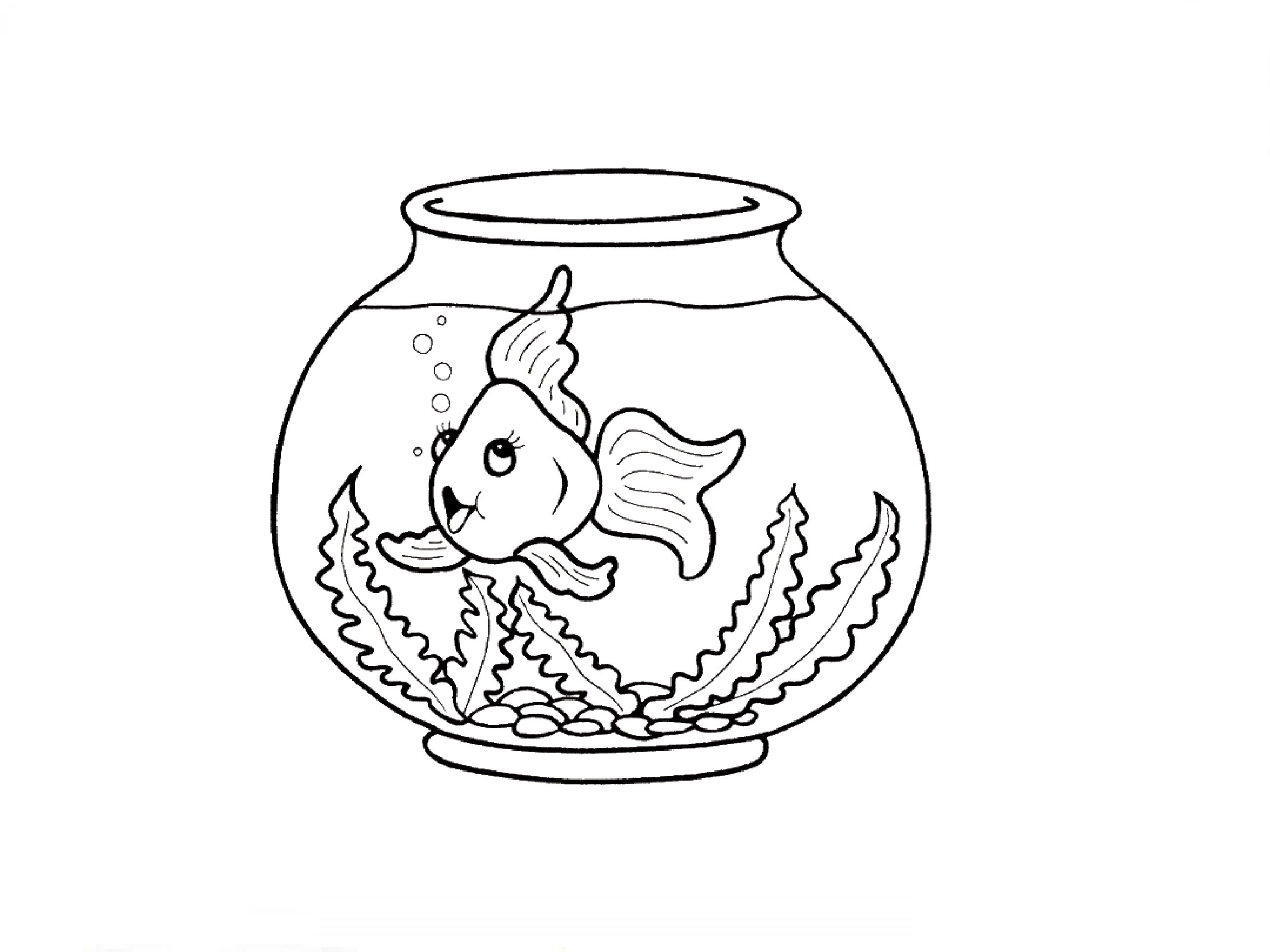 2592x1944 How To Draw An Aquarium