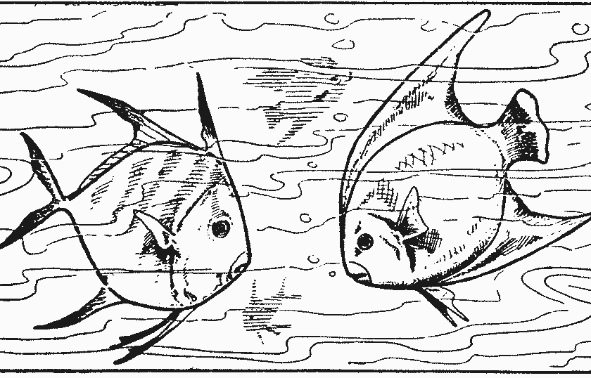 840x538 How To Draw Aquarium Fish