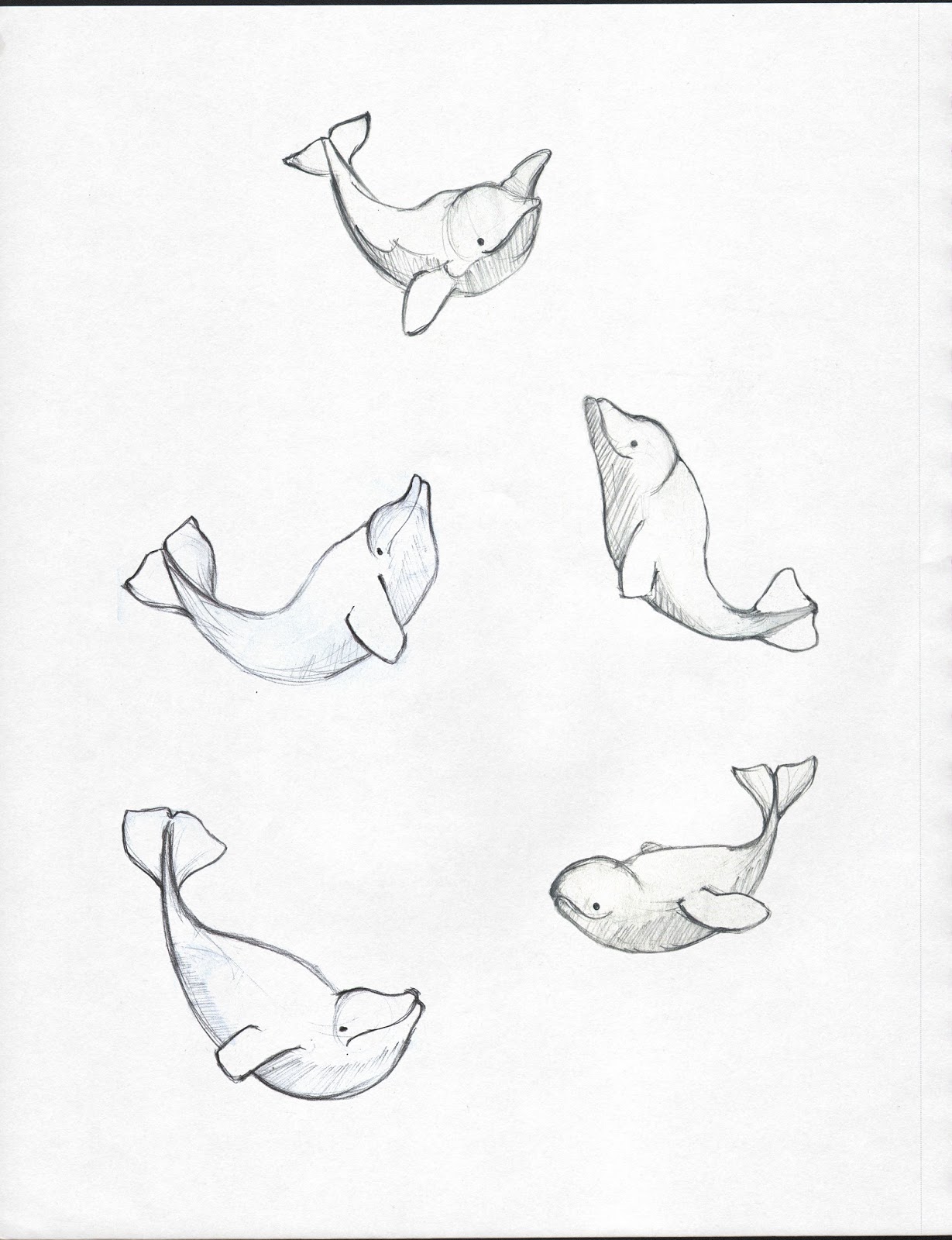 1229x1600 Suresh Padmaraj Aquarium Sketches