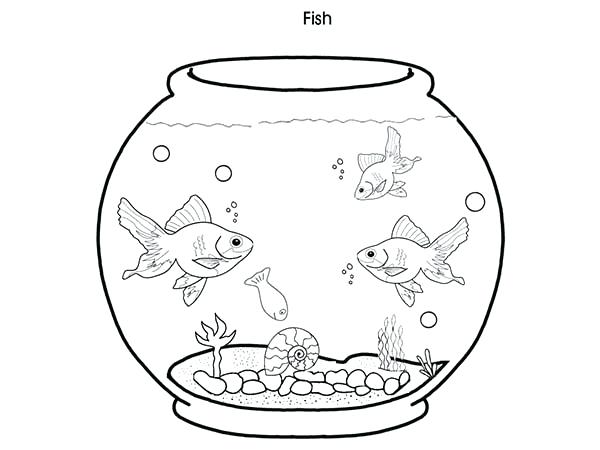 600x450 Aquarium Coloring Page
