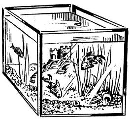 264x240 Aquarium Clipart Black And White