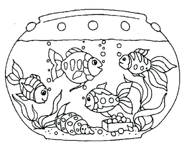 600x470 Coloring Page Fish Printable Cartoon Fish Coloring Page For Kids