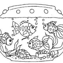 216x216 Fish Tank Coloring Page Free Download