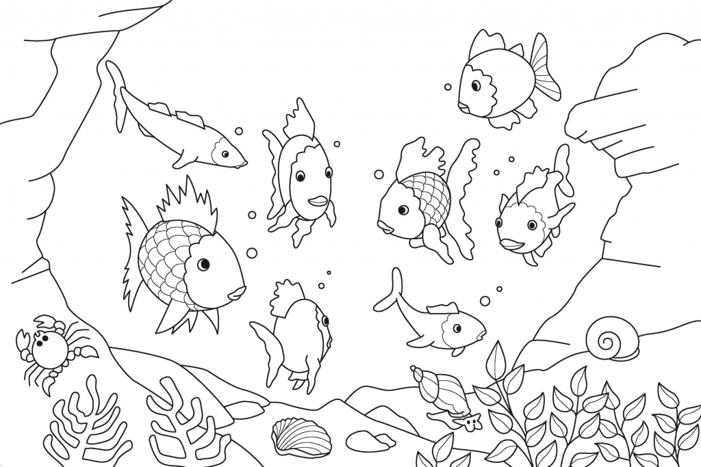 1024x683 How To Draw A Aquarium Fish Tank