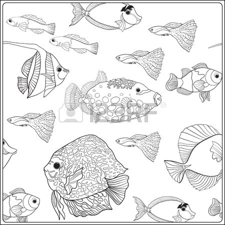 Aquarium Fish Drawing at GetDrawings | Free download
