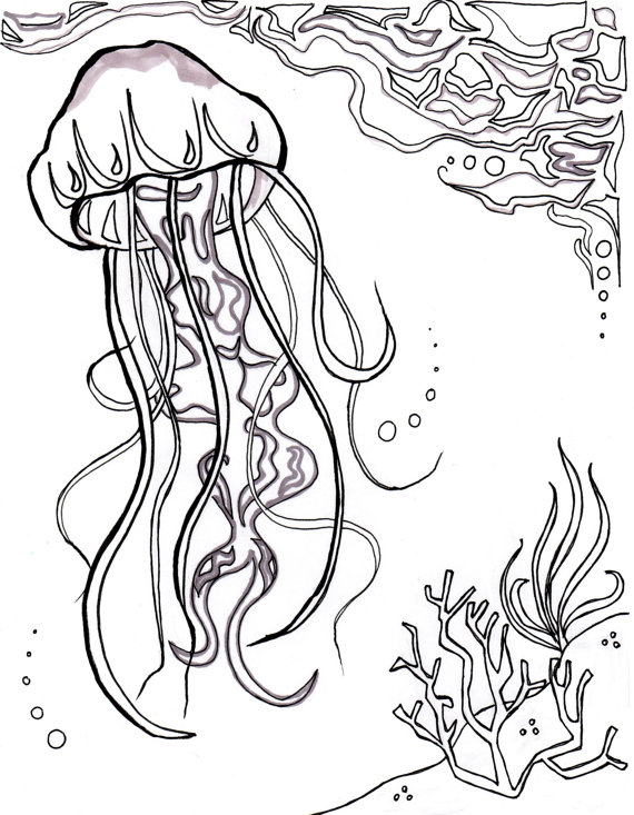 570x733 Jellyfish, Ocean, Ocean Coloring Sheet, Aquatic Art, Sea, Nautical