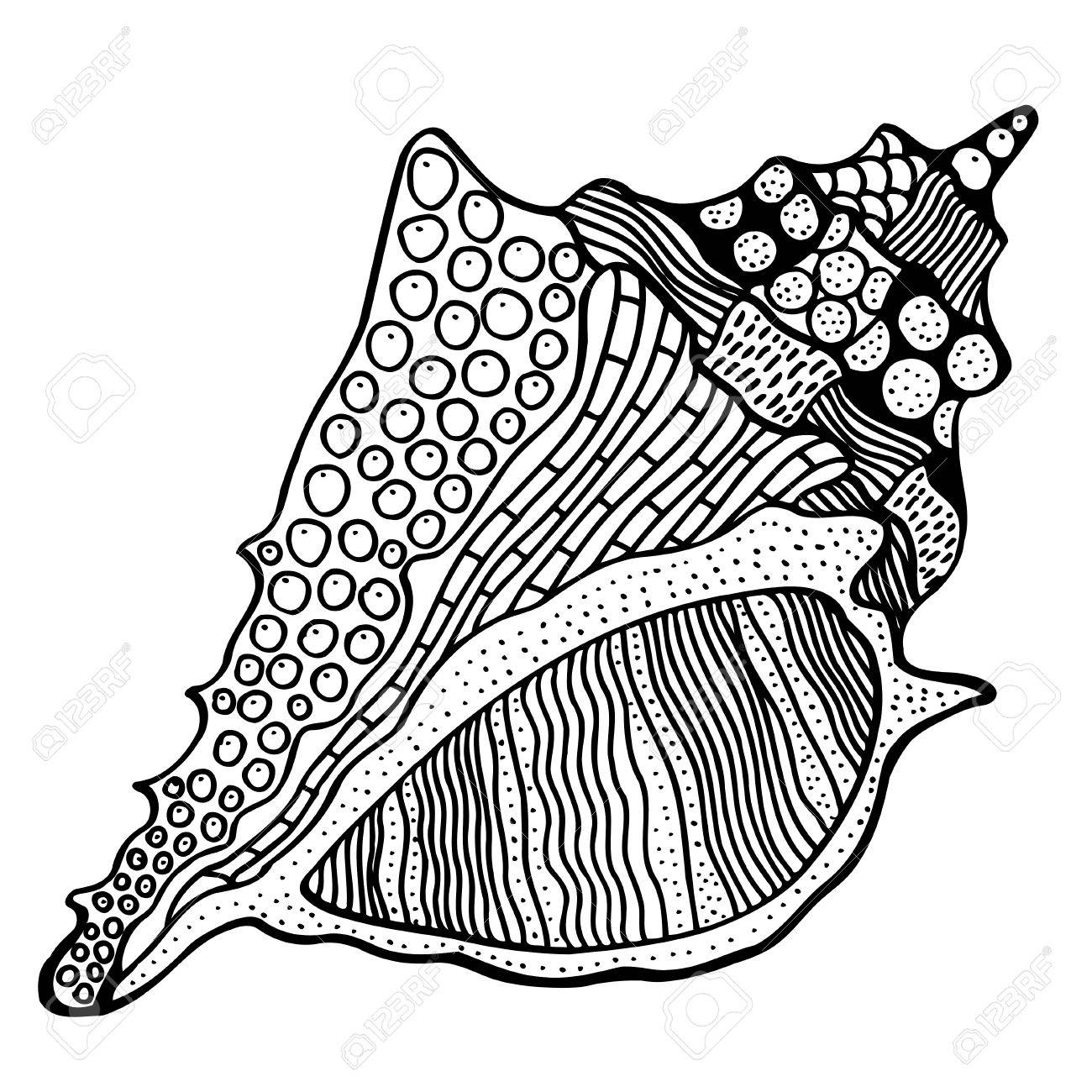 1300x1300 Zentangle Stylized Shell. Hand Drawn Aquatic Doodle Vector