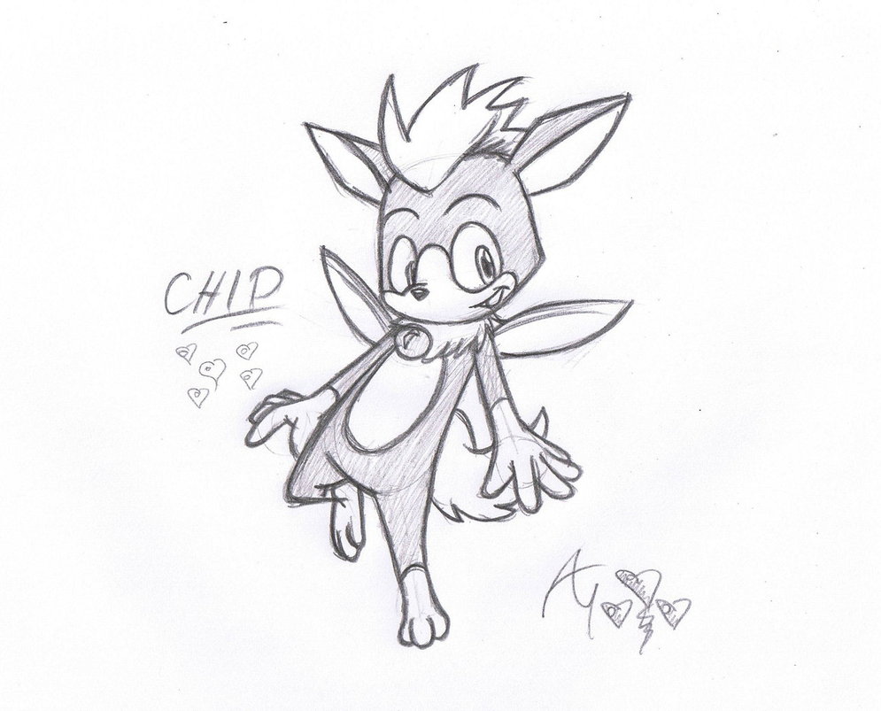 995x803 Chip The Light Gaia