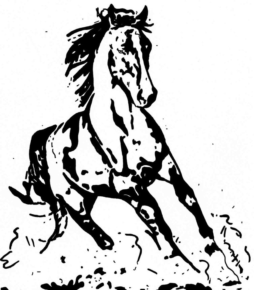 837x954 Arabian Horse By Ladyjart