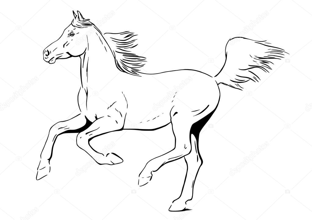 1023x723 Arabian Horse In Gallop Stock Vector Arsanimalium